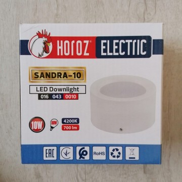 Nadgradna LED svetiljka Sandra 10W bela