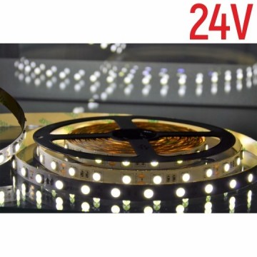 LED traka MLR-5050-60-24V 6500K 5m 24V 8W 60d IP20