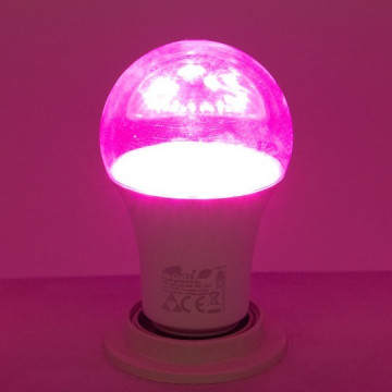 E27 PG 9W A60 LED ECO sijalica Plant growth