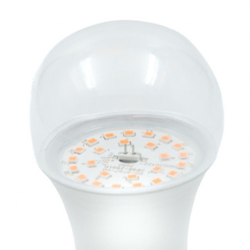 E27 PG 9W A60 LED ECO sijalica Plant growth