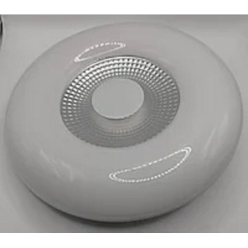 LED rozetna 12W VALENTINA-12 2CCT 3000K/6400K bela