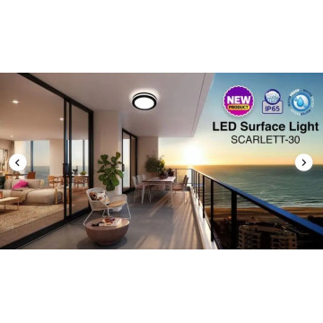 LED plafonjera 30W 6400K SCARLETT-30 crna IP65