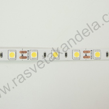 LED traka MLR-5050-60-ML 6500K 12V 8W 60d IP20 - 50m kotur