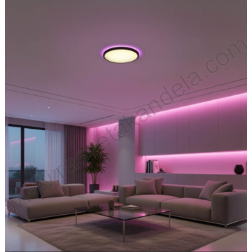 LED plafonjera 18W 3000/4000/6000K RGB crna sa daljinskim