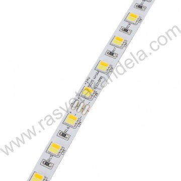 LED traka 5025 CCT 5m 24V 16W/m 60d IP20 ST4441