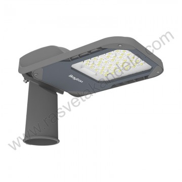 LED ulična svetiljka 29.5W 4000K IP66 siva