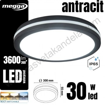 LED plafonjera fi30cm 30W 3CCT WASSER antracit siva IP65